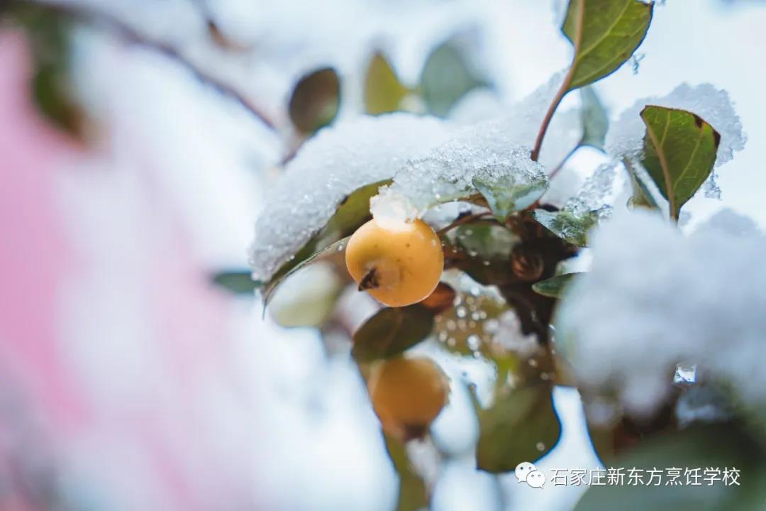 爸媽放心吧，立冬的餃子我已經(jīng)吃上啦！