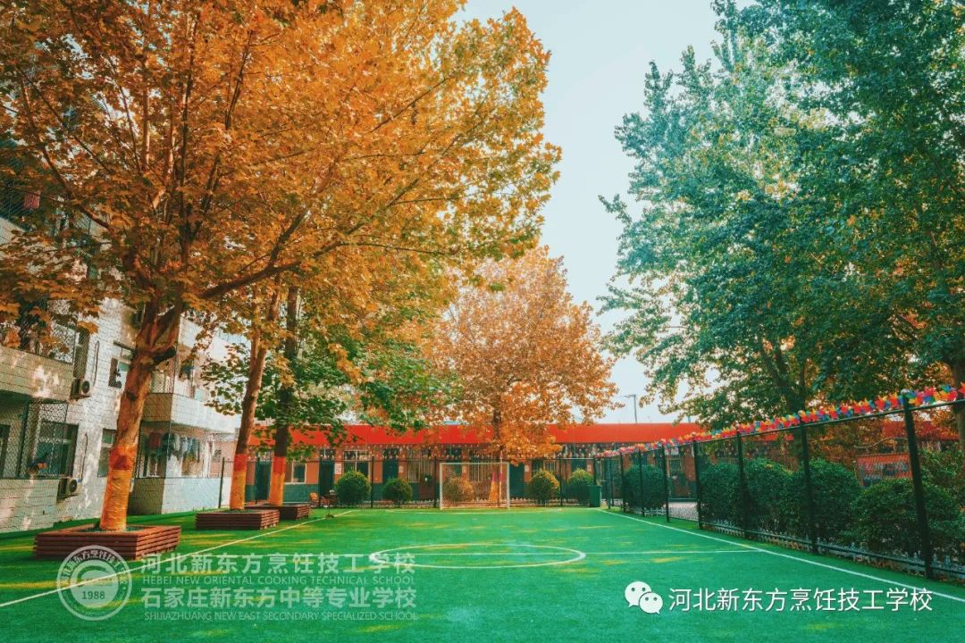 趁年輕，一技傍身！偷偷卷起來~