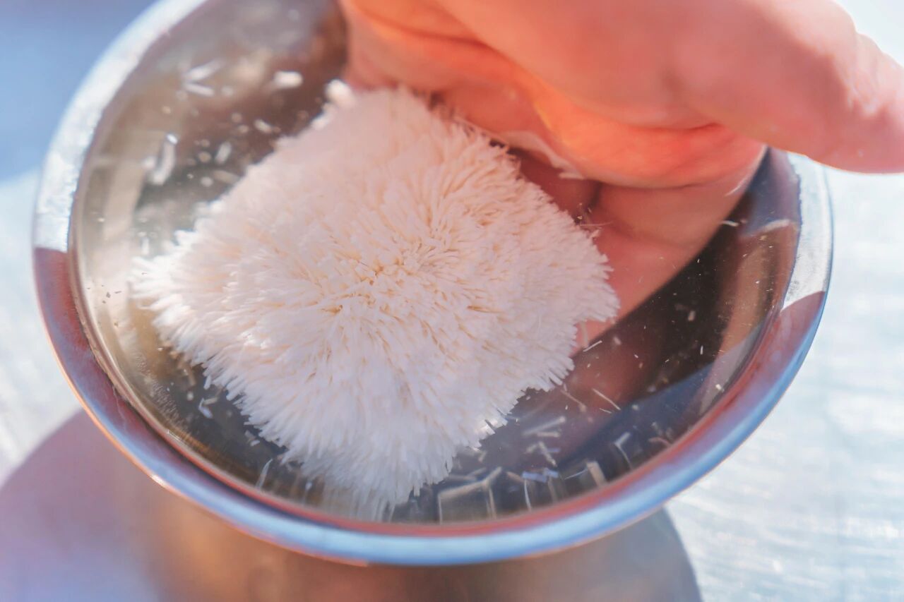 f3af90899f415d1b9a3dc18a1f04ea17.jpg f3af90899f415d1b9a3dc18a1f04ea17.jpg